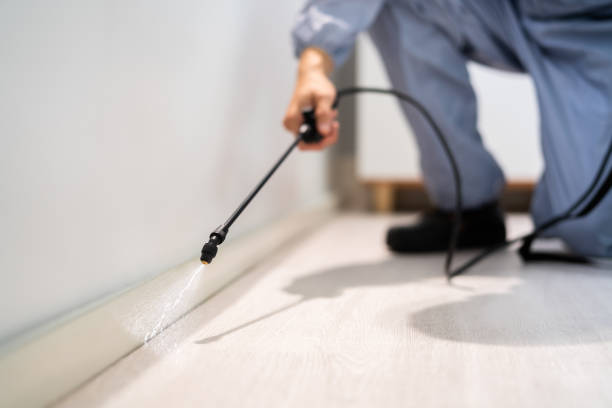 Licensed Cockroach Control service in Eureka, IL - Nex Pest Control