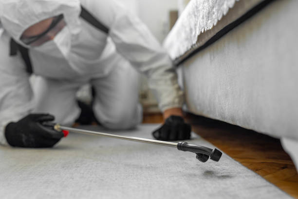 Professional Cockroach Control technician working in Eureka, IL