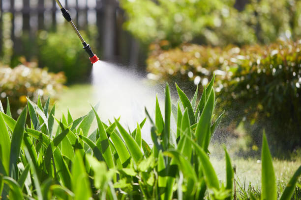 24/7 Emergency Cockroach Control experts in Eureka, IL