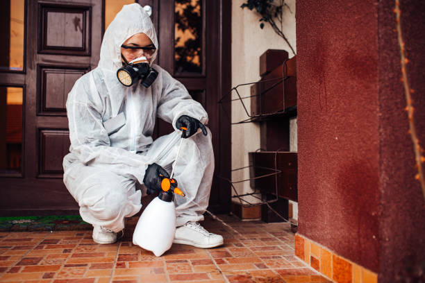 Reliable Cockroach Control contractor in Eureka, IL by Nex Pest Control