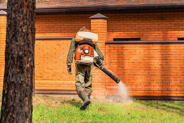 Top rated local Cockroach Control specialists in Eureka, IL